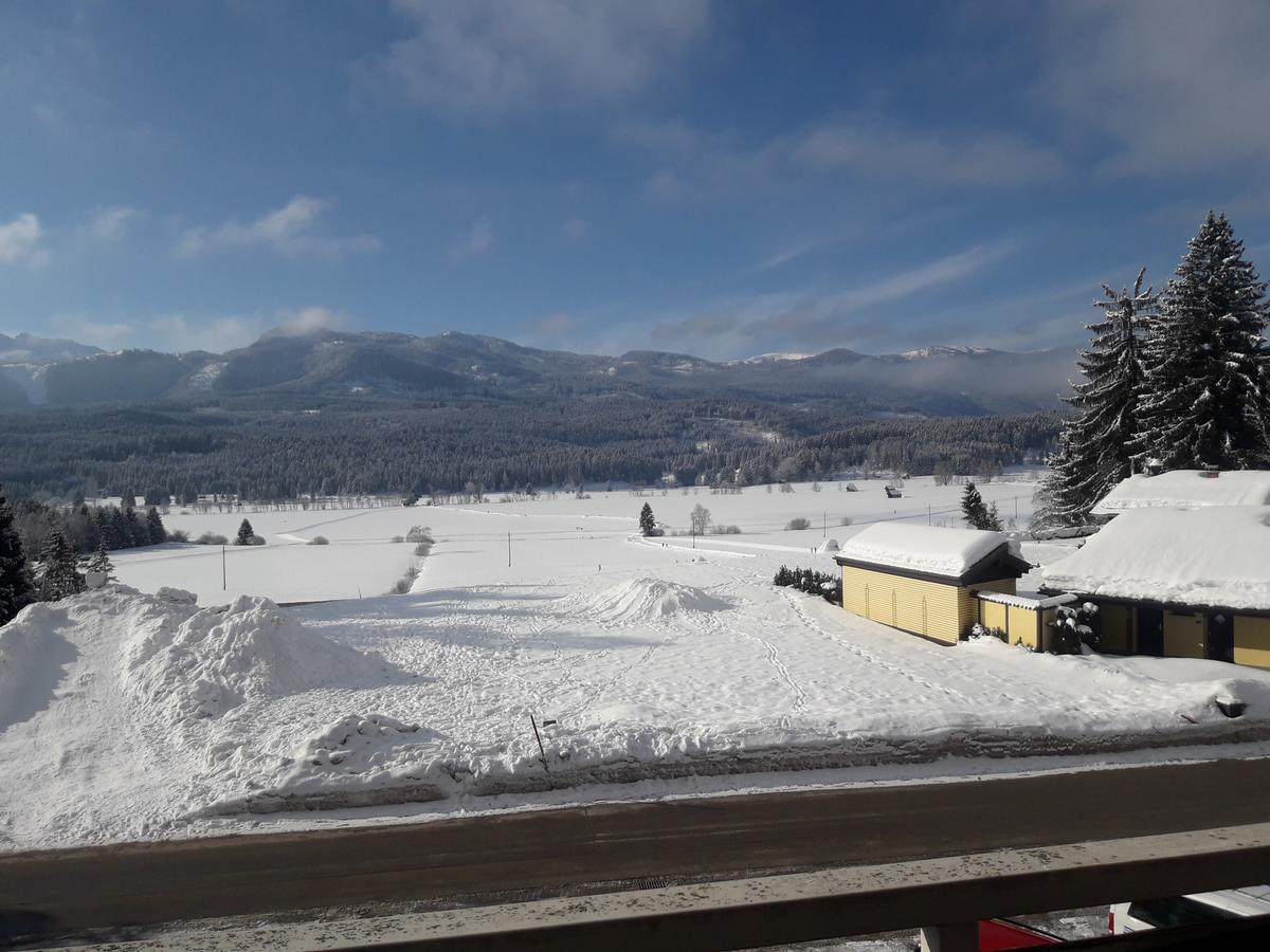 Happy Stay Apartment Bad Mitterndorf Exterior foto